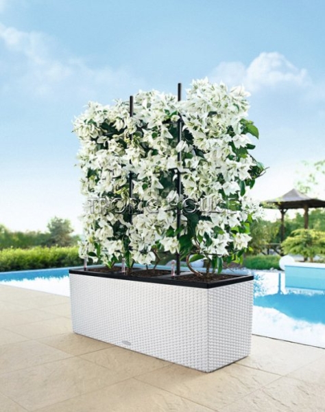 Решетки с изгибом для кашпо TRIO 30