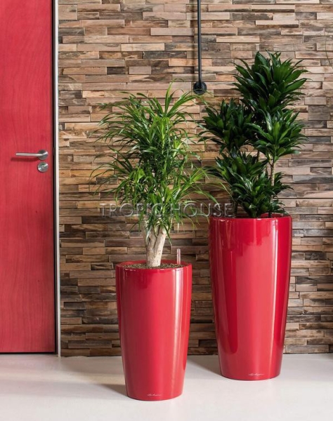 Кашпо LECHUZA RONDO 32х56 см