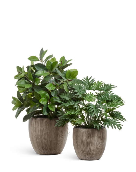 Кашпо TREEZ Effectory, Конус-Чаша , Капучино