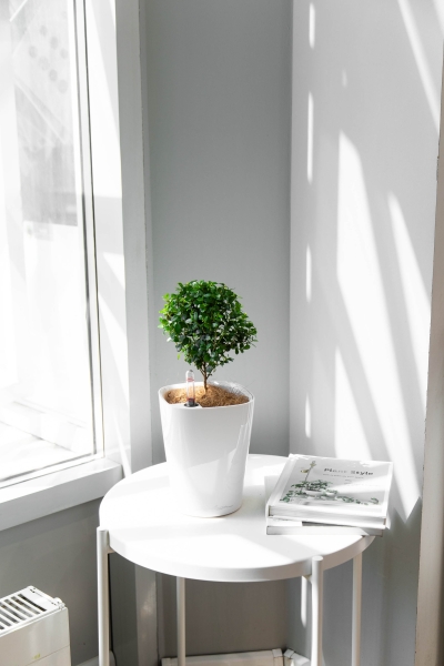 Мирсина в MINI-DELTINI 10 Мирсина в MINI-DELTINI 10