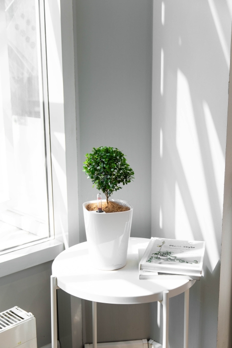 Мирсина в MINI-DELTINI 10