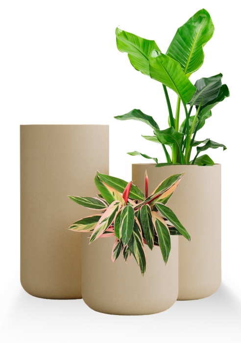 Кашпо CONCRETIKA TOPPER SAHARA