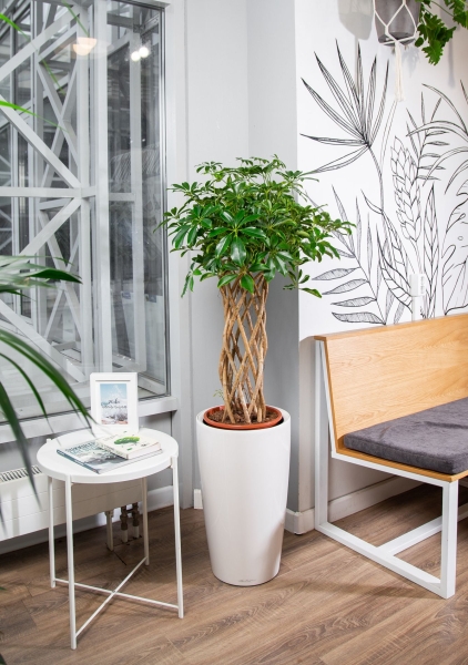 Шеффлера цилиндр в RONDO 32