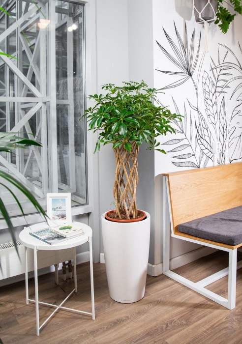 Шеффлера цилиндр в RONDO 32