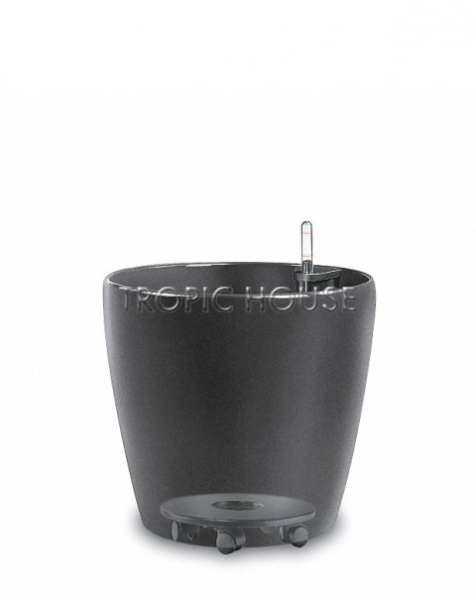 Ролики для CLASSICO 50 | QUADRO 50 | CUBE 40