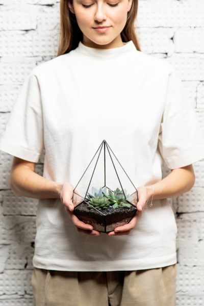 Флорариум - мини капля с суккулентами