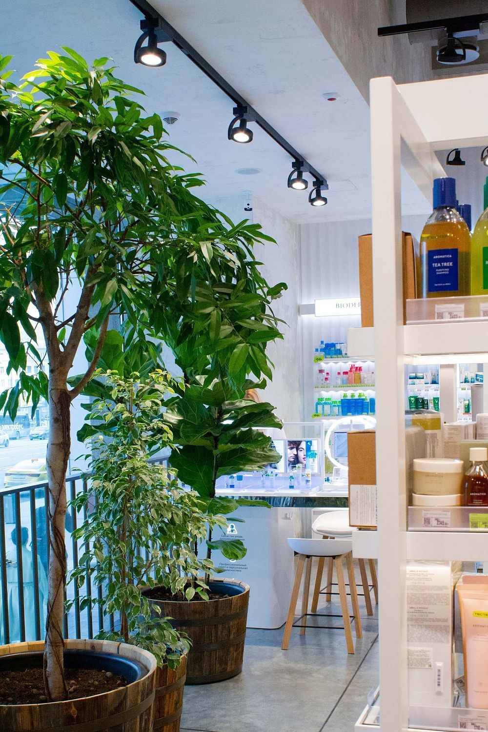 Золотое Яблоко