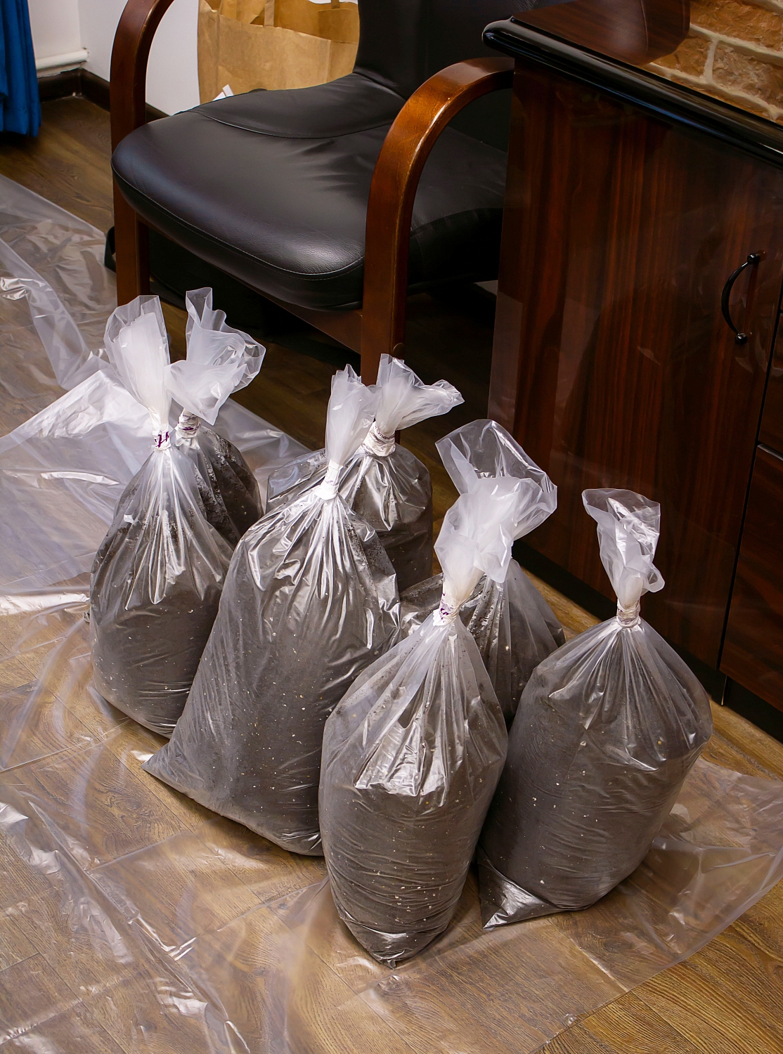 ВЫЕЗДНАЯ ПЕРЕСАДКА РАСТЕНИЙ