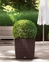 Кашпо LECHUZA CUBE Cottage 50х50 см