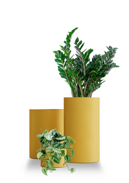 Кашпо CONCRETIKA CYLINDER CLASSIC GOLD