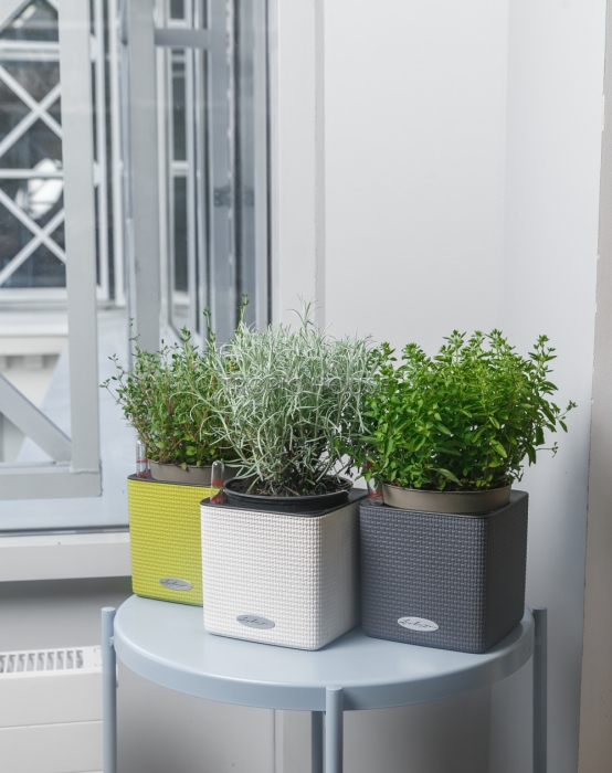 Набор "Пряные травы" в CUBE 14