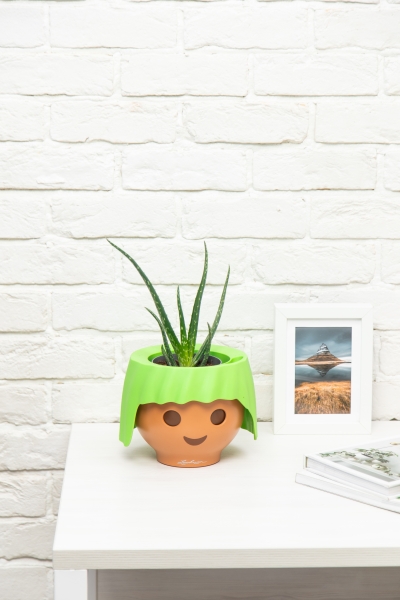 Алоэ Вера в OJO