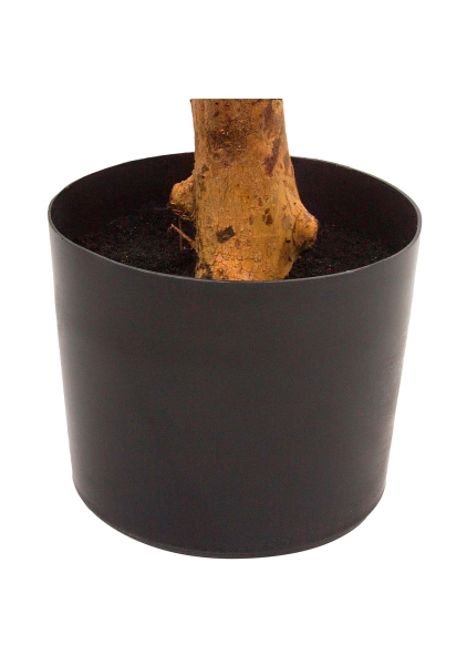 Дерево искусственное в кашпо "Полисциас", H160 см