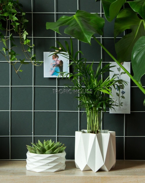 Кашпо Andromeda