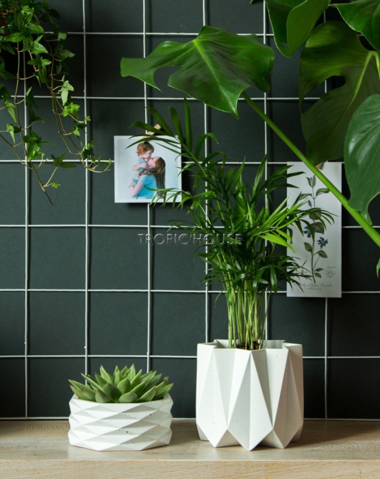 Кашпо Andromeda