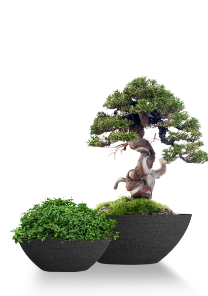 Кашпо CONCRETIKA BONSAY EROSIA BLACK