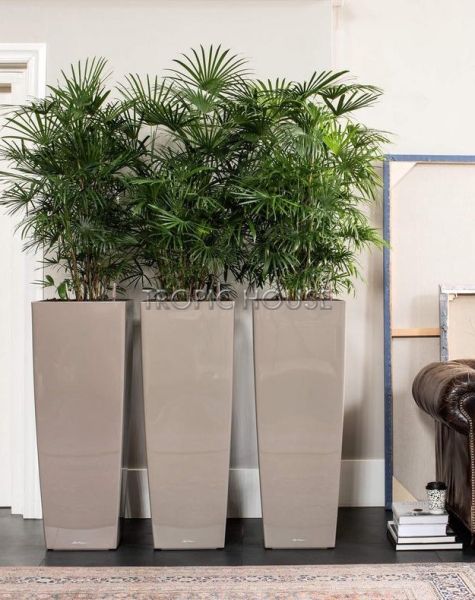 Кашпо LECHUZA CUBICO ALTO 40х105 см