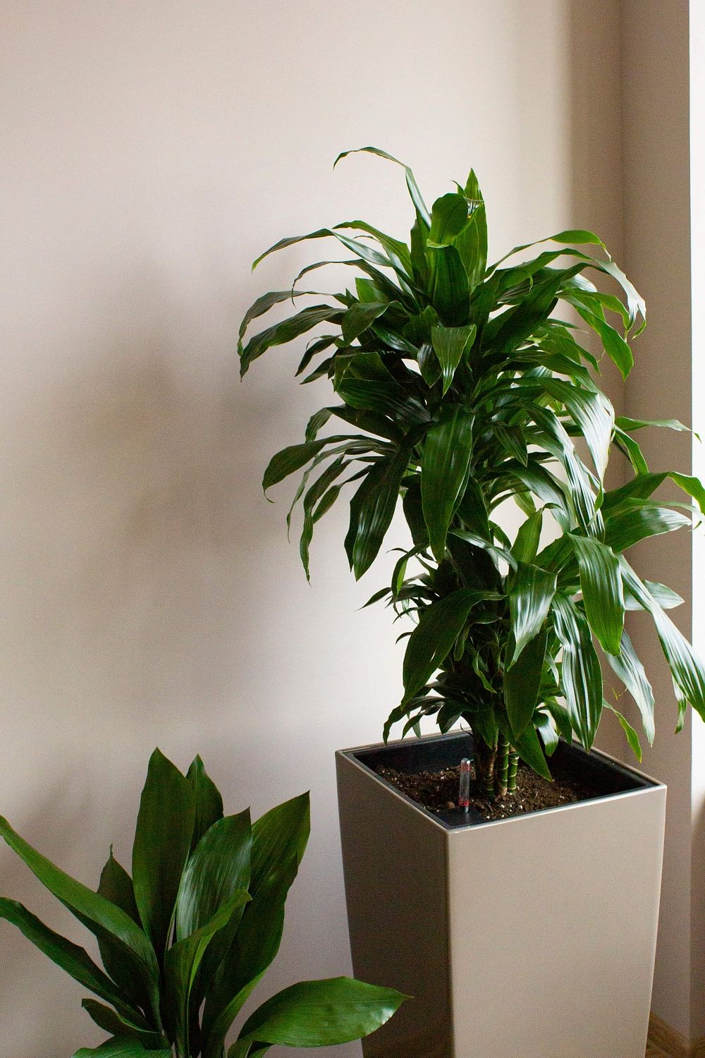 ПетроИнжиниринг