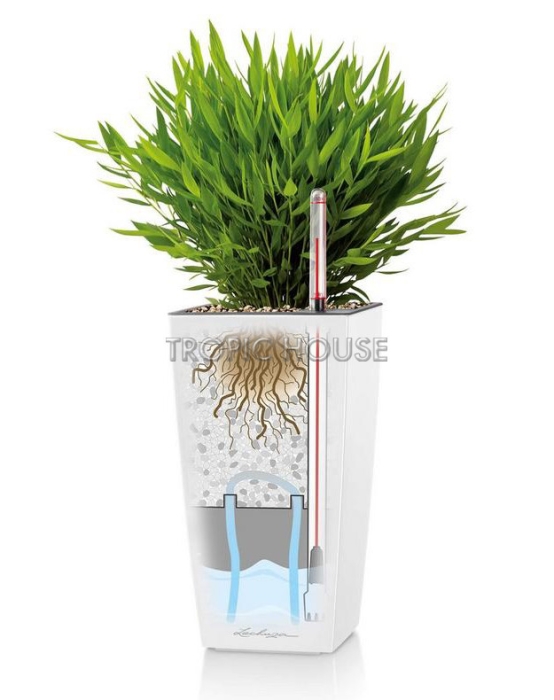 Кашпо LECHUZA MAXI-CUBI 14х26 см