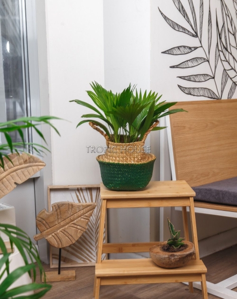 Корзина малая зеленый/крафт