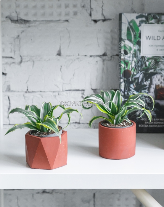 Кашпо бетонное настольное ТН 30