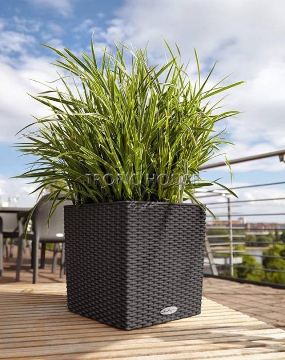 Кашпо LECHUZA CUBE Cottage 30х30 см