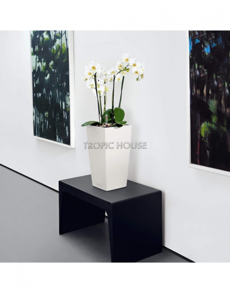 Кашпо LECHUZA CUBICO Color 22х41 см