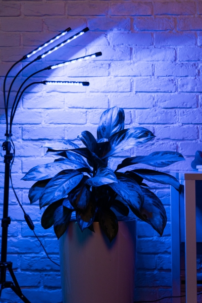 Фитолампа напольная со штативом, 40 Ватт Фитолампа напольная со штативом, 40 Ватт