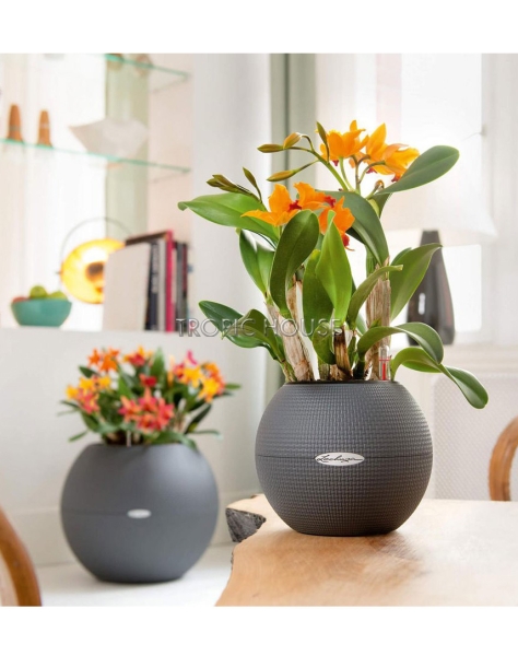 Кашпо LECHUZA PURO Color 20х16 см