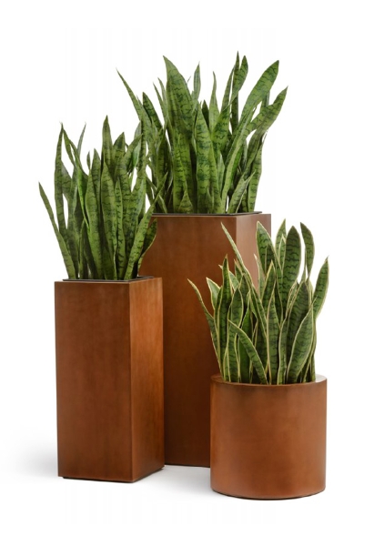 Кашпо TREEZ Effectory, Corten Steel, Цилиндр, Бархатистая окись