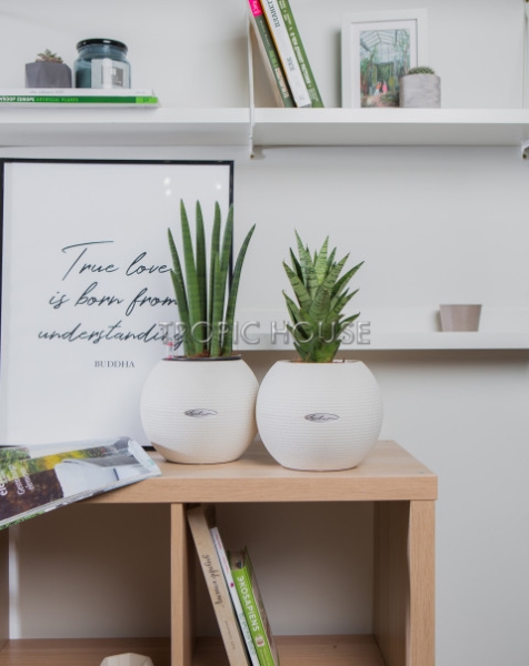 "Набор для рабочего стола" Цилиндрика в PURO 20