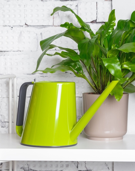 Лейка для комнатных цветов Loft (зеленый)