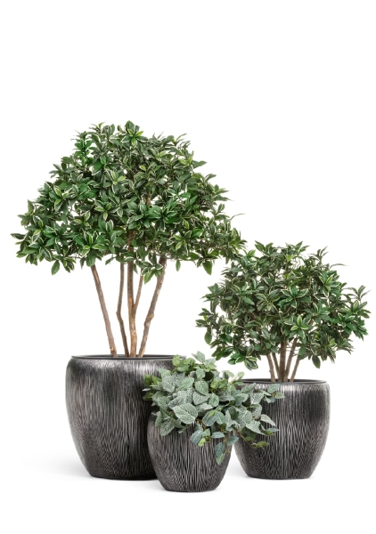 Кашпо TREEZ Effectory, Конус-Чаша, Стальное серебро