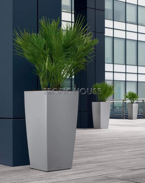 Кашпо LECHUZA CUBICO 50х95 см