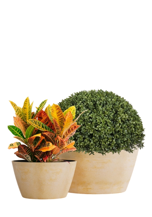 Кашпо CONCRETIKA BOWL LEMON CLAY