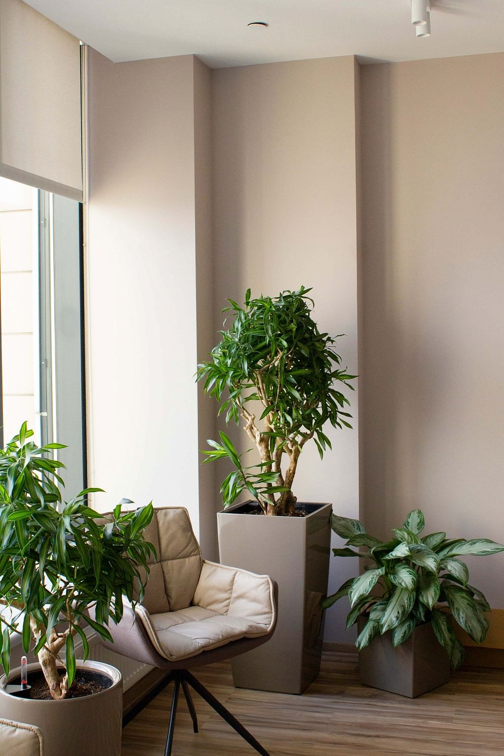 ПетроИнжиниринг