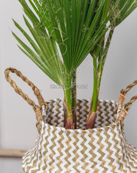 Корзина малая белый зигзаг