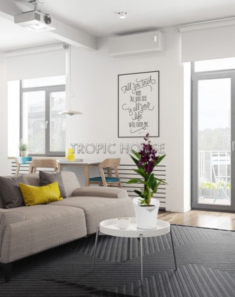 Орхидея Дендробиум Санок черный в ORCHIDEA 18