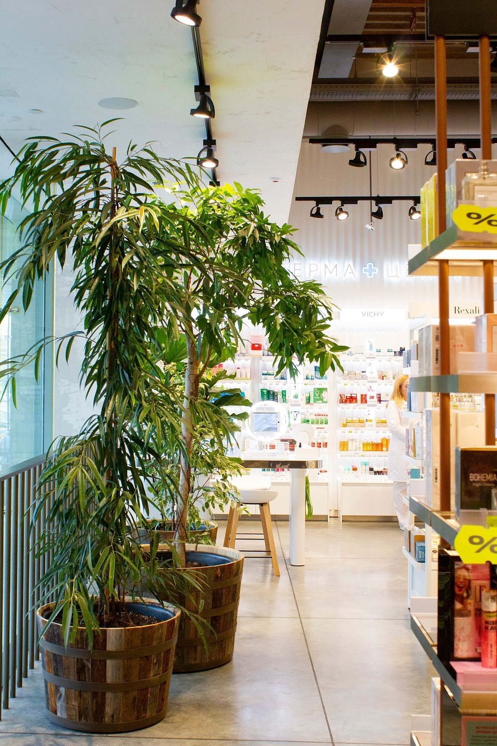 Золотое Яблоко