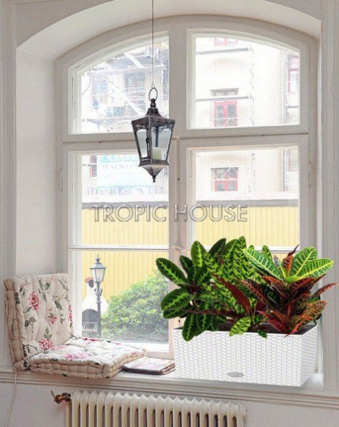 Лиственный микс в Cottage 50