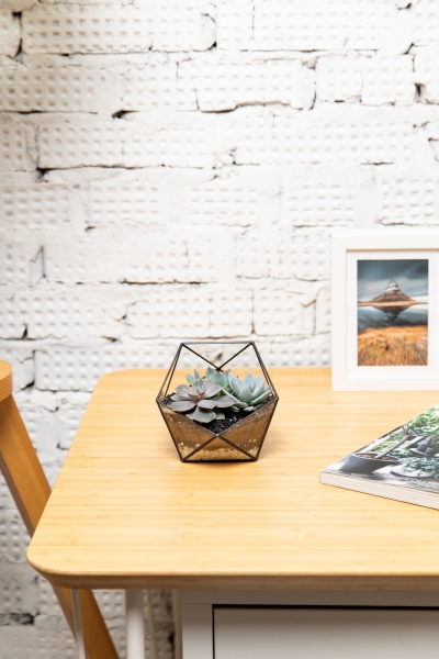 Флорариум - икосаэдр с суккулентами