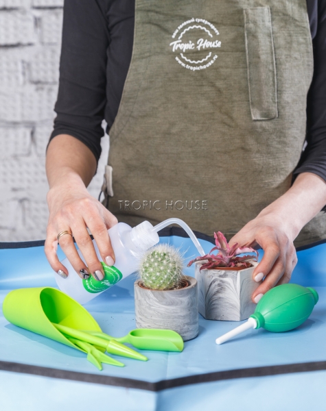 Лейка для полива суккулентов