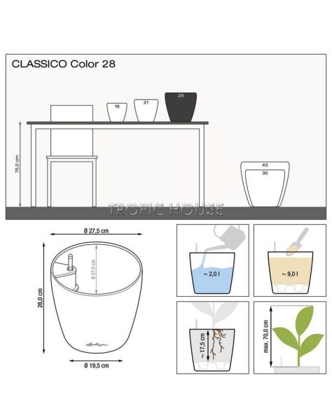 Стрелиция Николай в CLASSICO COLOR 28 Стрелиция Николай в CLASSICO COLOR 28