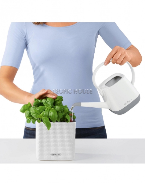 Кашпо LECHUZA ЗЕЛЕНАЯ СТЕНА Home Kit Color 15х14 см