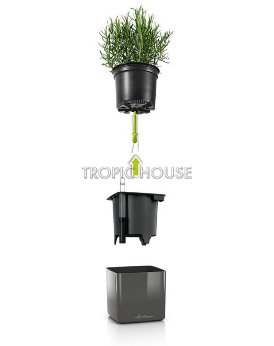 Кашпо LECHUZA CUBE Glossy 14х13.5 см