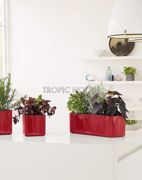 Кашпо LECHUZA CUBE Glossy Triple 14х13.5 см