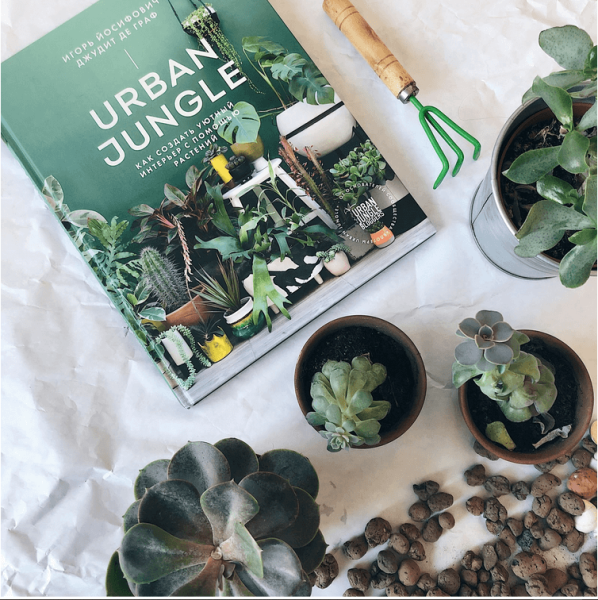 Как создать уютный интерьер с помощью растений Urban Jungle Как создать уютный интерьер с помощью растений Urban Jungle