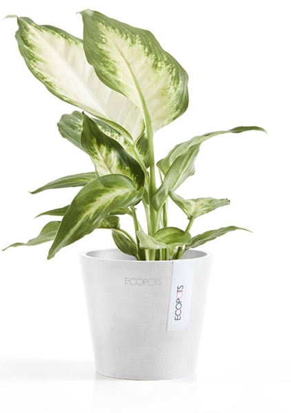 Ecopots Amsterdam Mini 10,5