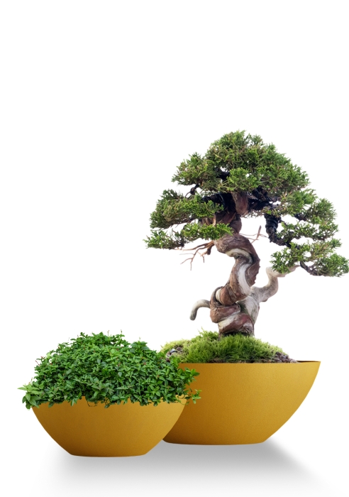 Кашпо CONCRETIKA BONSAY GOLD