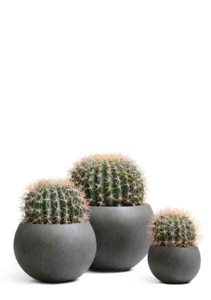 Кашпо TREEZ Effectory, Полусфера, Тёмно-серый бетон